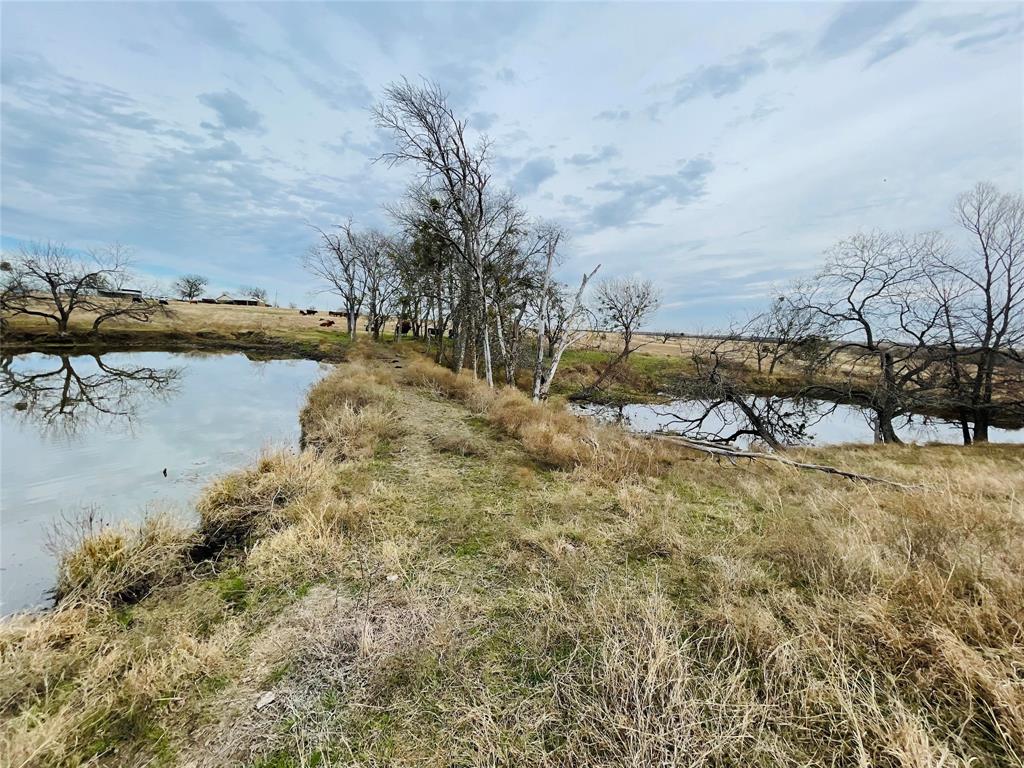 21517 Sw County Road 4040 Property Photo 5