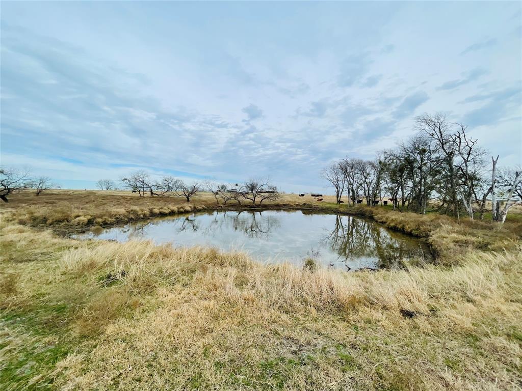 21517 Sw County Road 4040 Property Photo 7