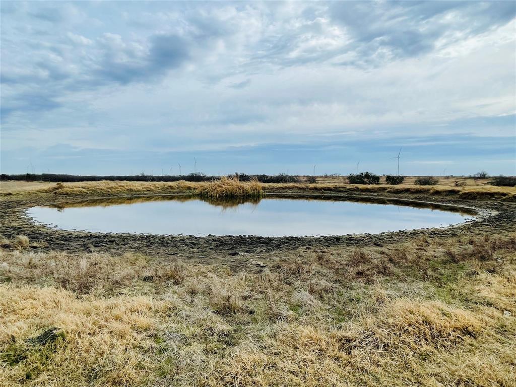 21517 Sw County Road 4040 Property Photo 14
