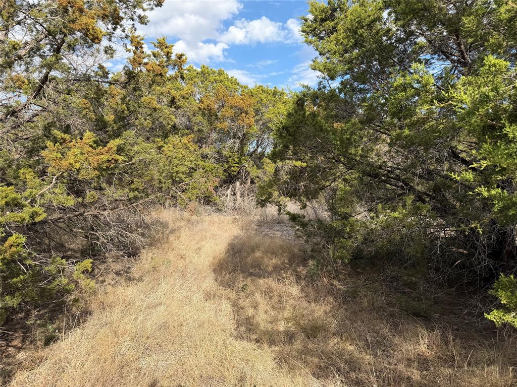 1070 Enchanted Rock Court Property Photo 1