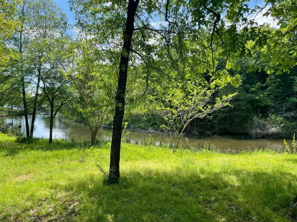 103 Cree Street Property Photo 2