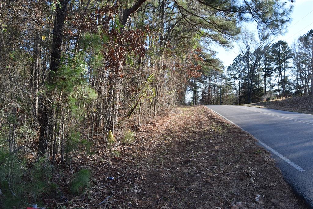 Lot # 21 Timberline Drive