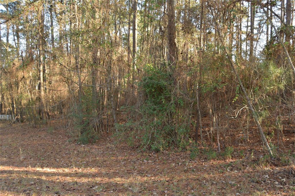 Lot # 21 Timberline Drive Property Photo 4