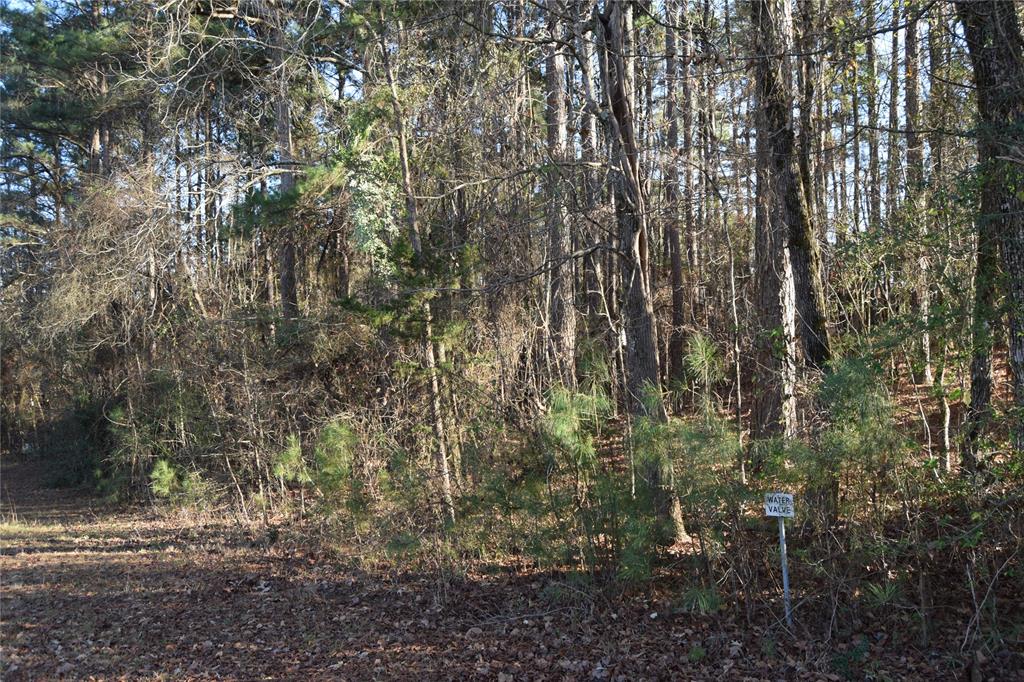Lot # 21 Timberline Drive Property Photo 6