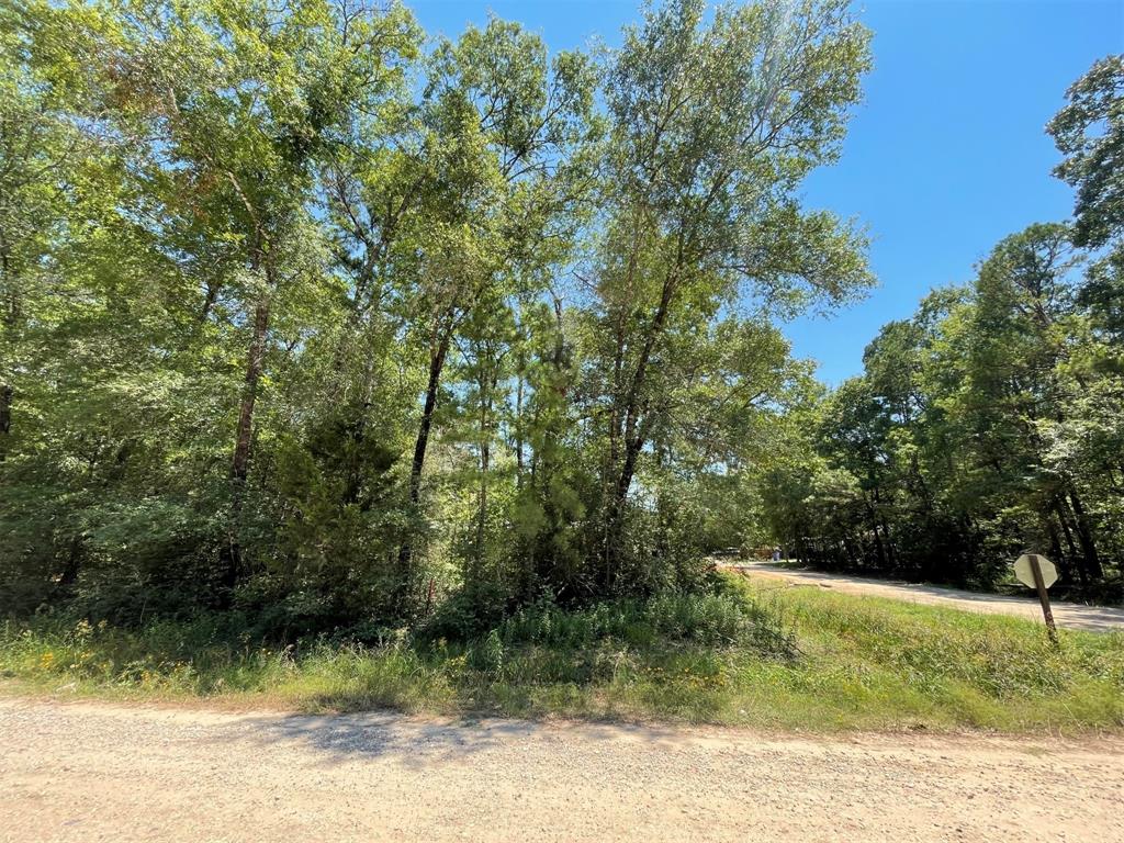 Lot 101 Ithica Property Photo 13