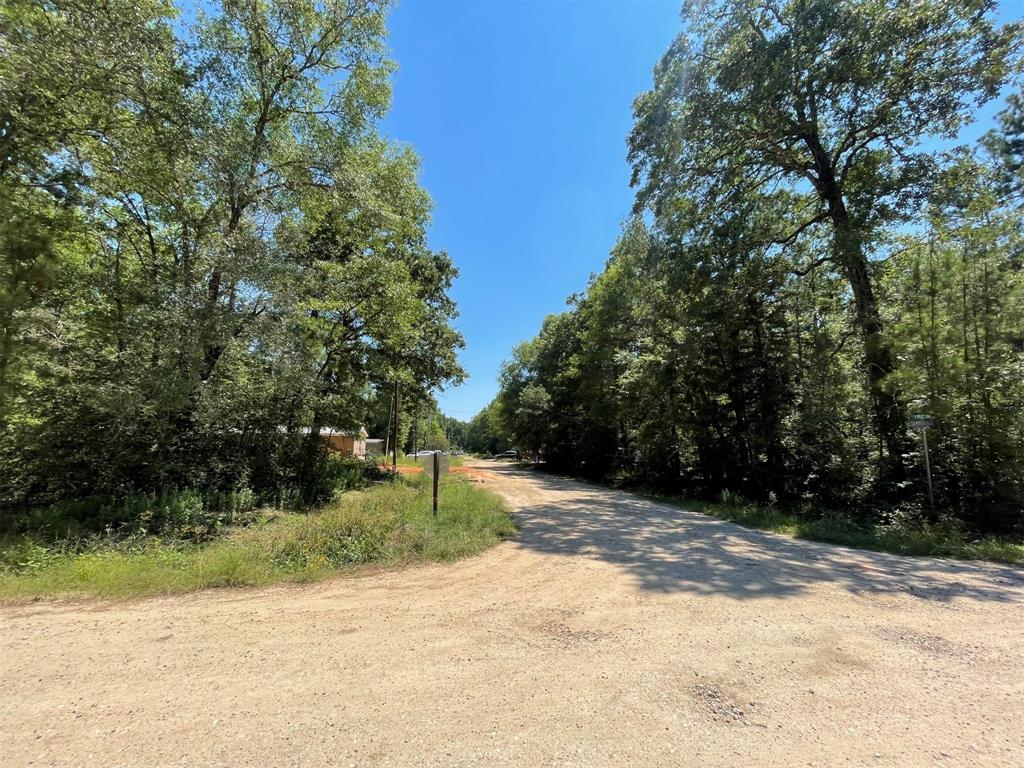 Lot 101 Ithica Property Photo 15