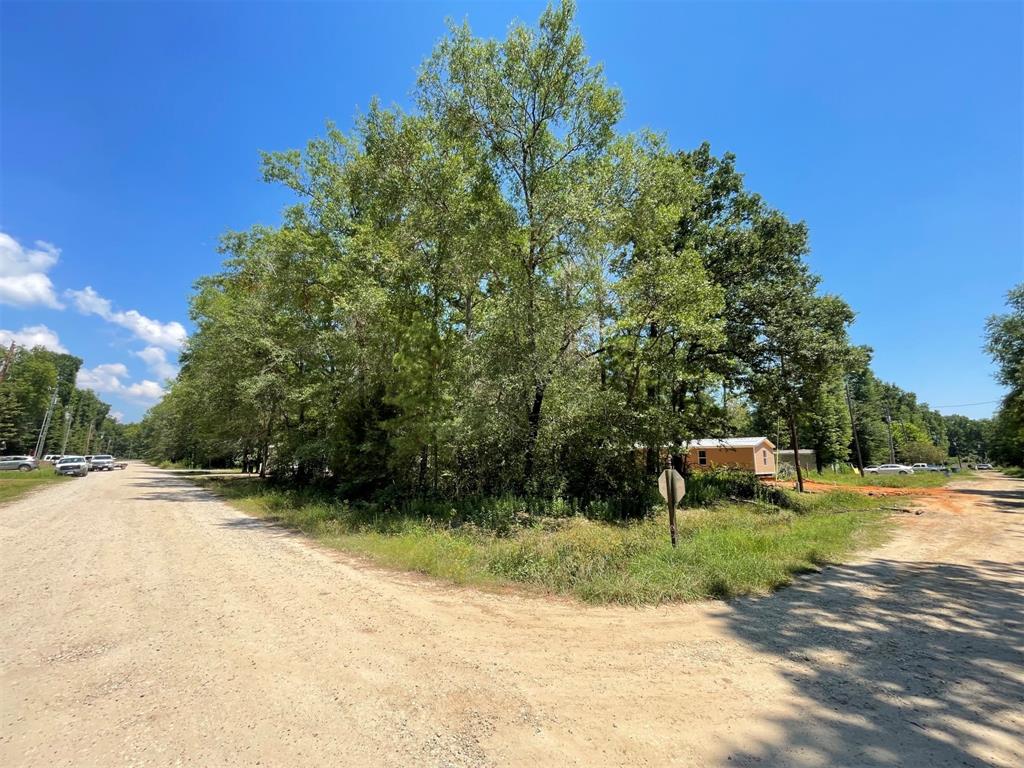 Lot 101 Ithica Property Photo 16