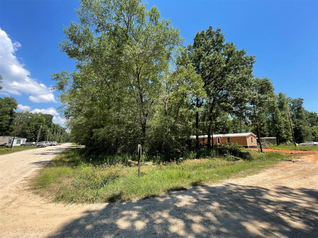 Lot 101 Ithica Property Photo 17