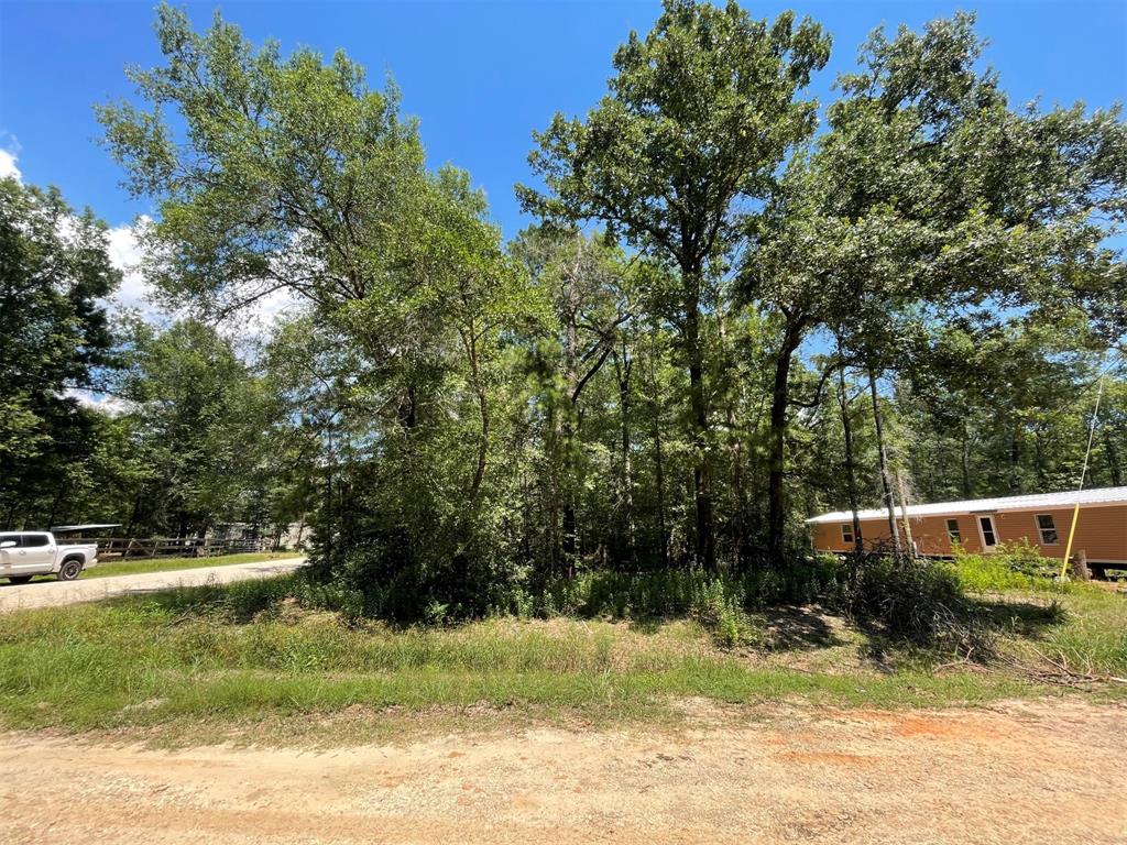 Lot 101 Ithica Property Photo 18