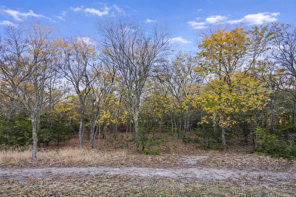 8064 Lax Drive Property Photo 1