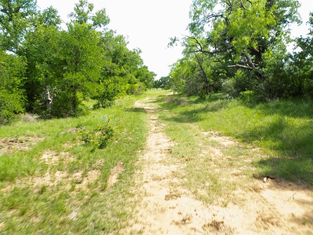 6500 Fm 586 Property Photo 33
