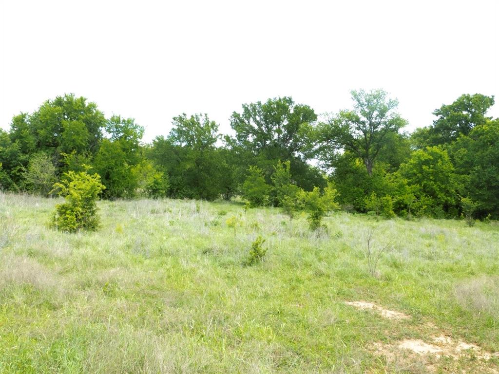 6500 Fm 586 Property Photo 36