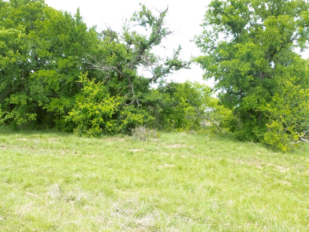 6500 Fm 586 Property Photo 37