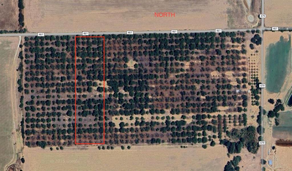 TBD County Road 461