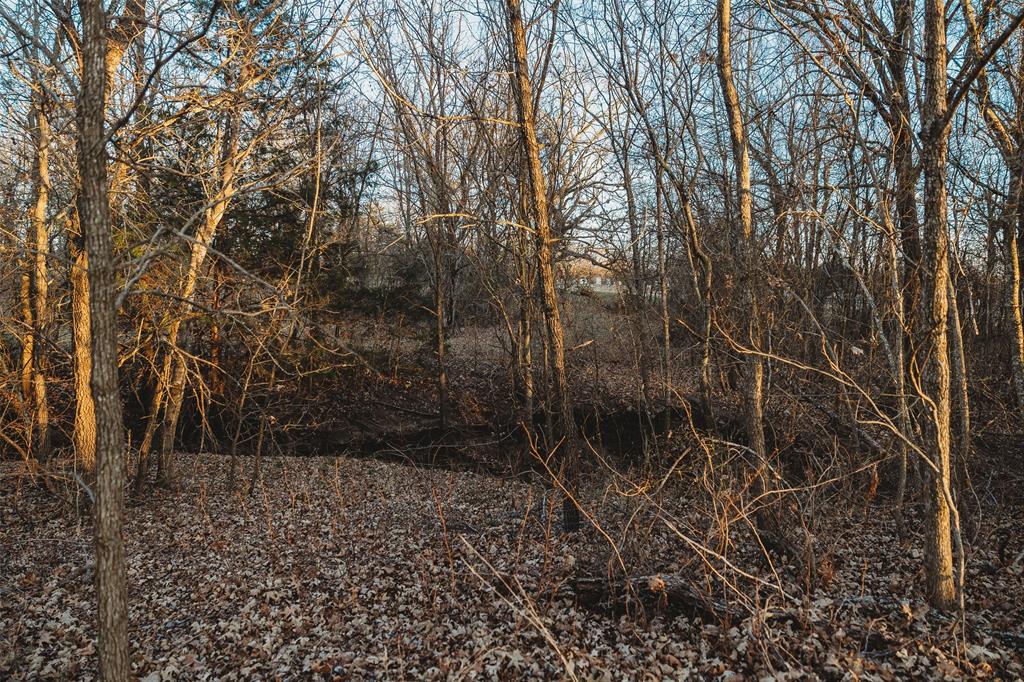 6078 E Line Road Property Photo 12