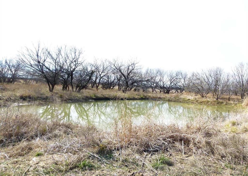 6500a Fm 586 Property Photo 26