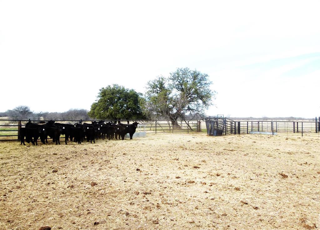 6500a Fm 586 Property Photo 37