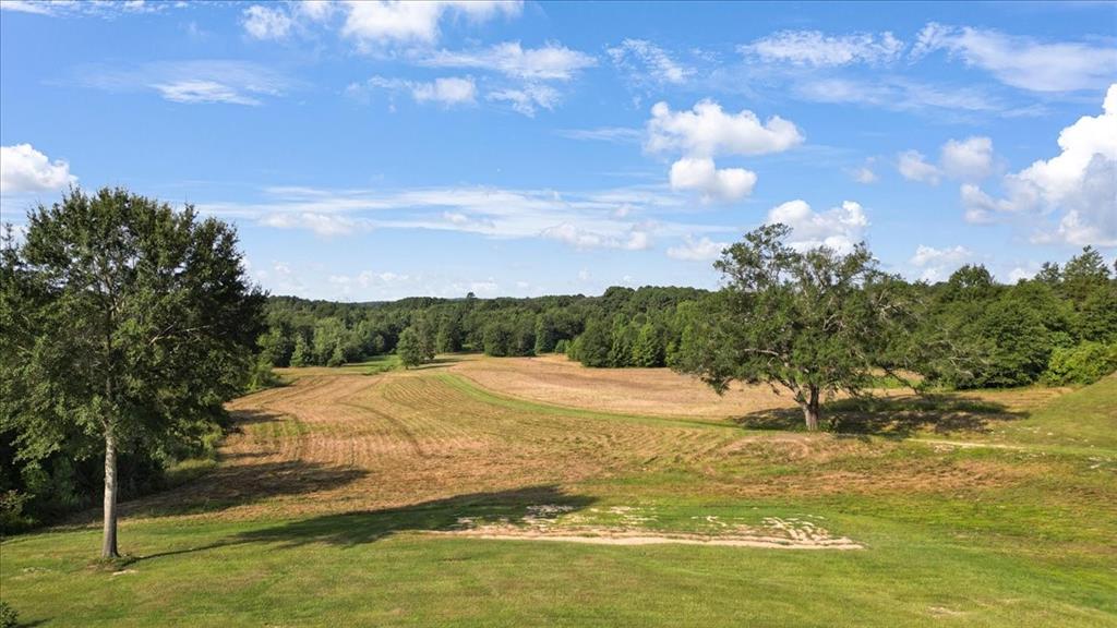 Tbd S Live Oak Property Photo 1