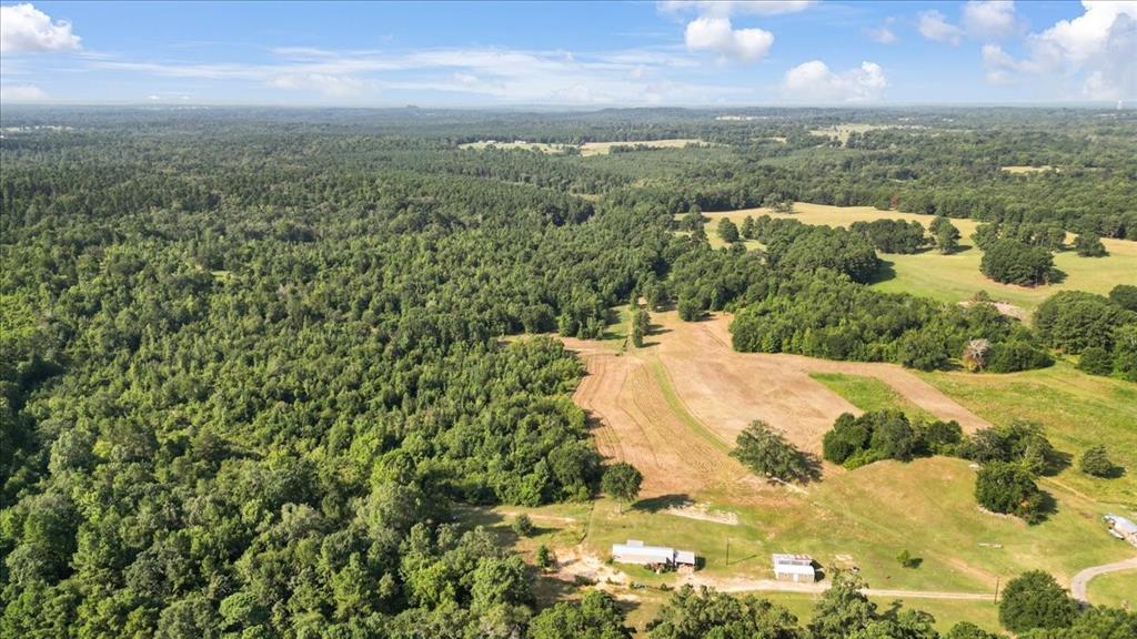 Tbd S Live Oak Property Photo 2
