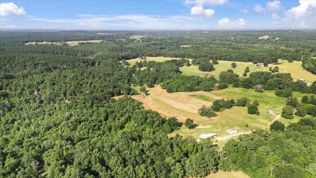 Tbd S Live Oak Property Photo 3