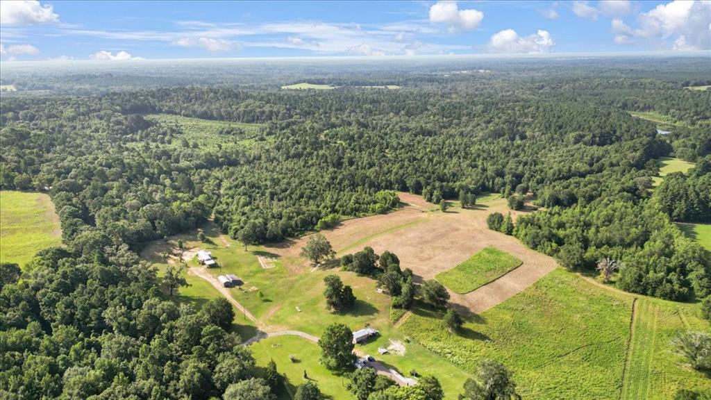 Tbd S Live Oak Property Photo 4