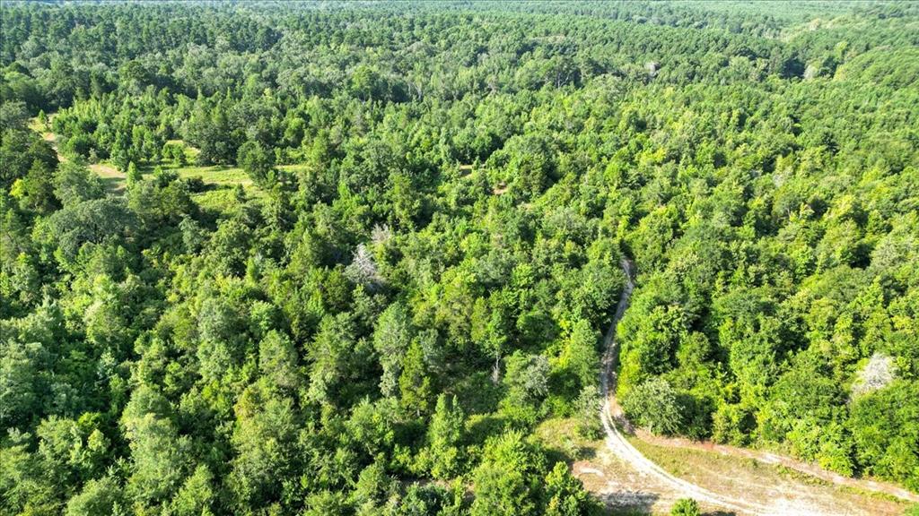 Tbd S Live Oak Property Photo 5