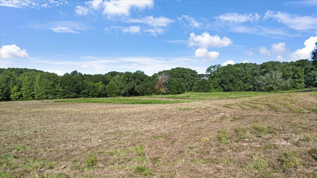 Tbd S Live Oak Property Photo 8