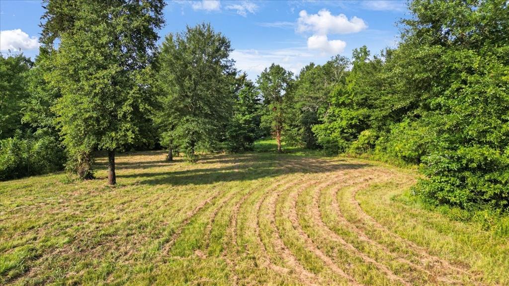 Tbd S Live Oak Property Photo 9