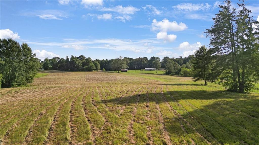 Tbd S Live Oak Property Photo 10