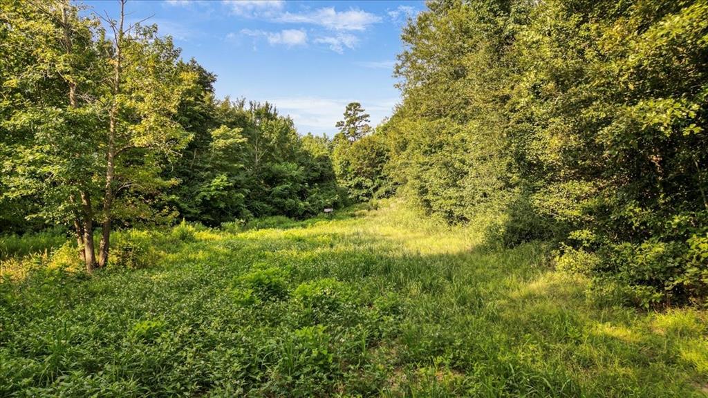 Tbd S Live Oak Property Photo 12