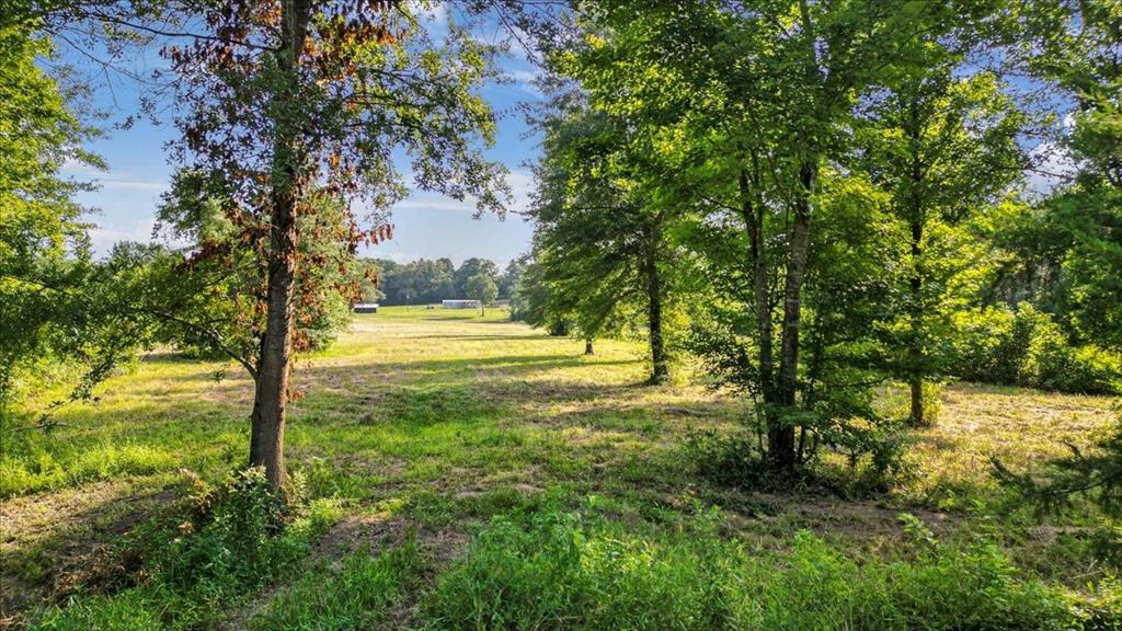 Tbd S Live Oak Property Photo 13