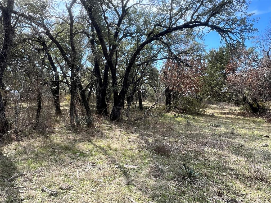 149 Comanche Hills Property Photo 13