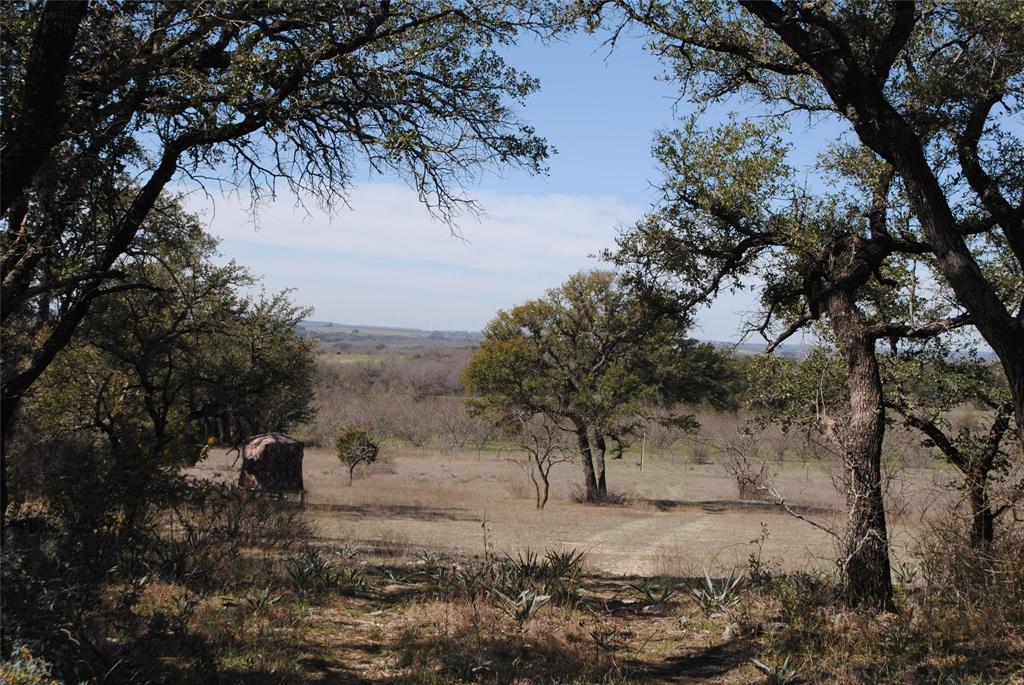 149 Comanche Hills Property Photo 29