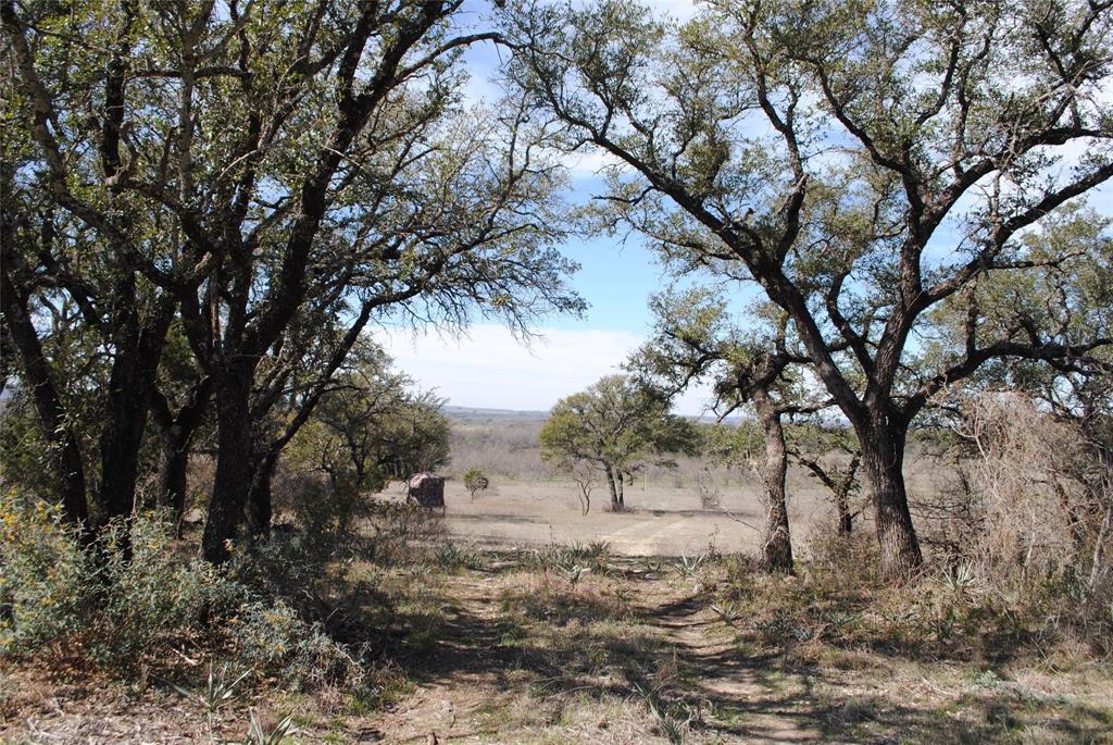 149 Comanche Hills Property Photo 31