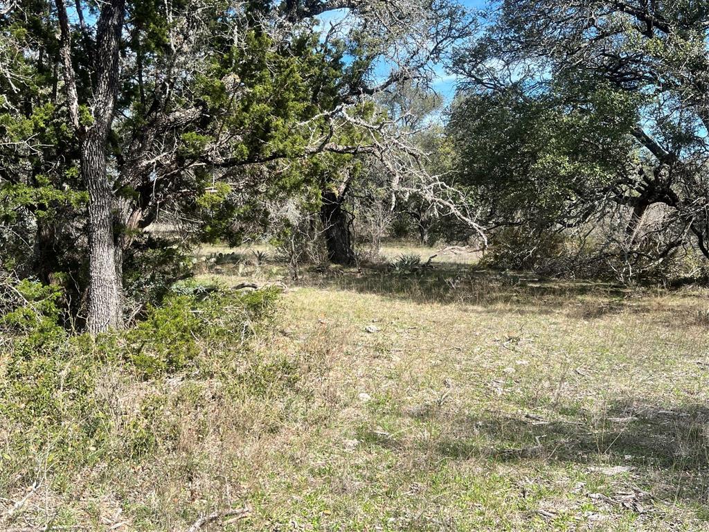 149 Comanche Hills Property Photo 32