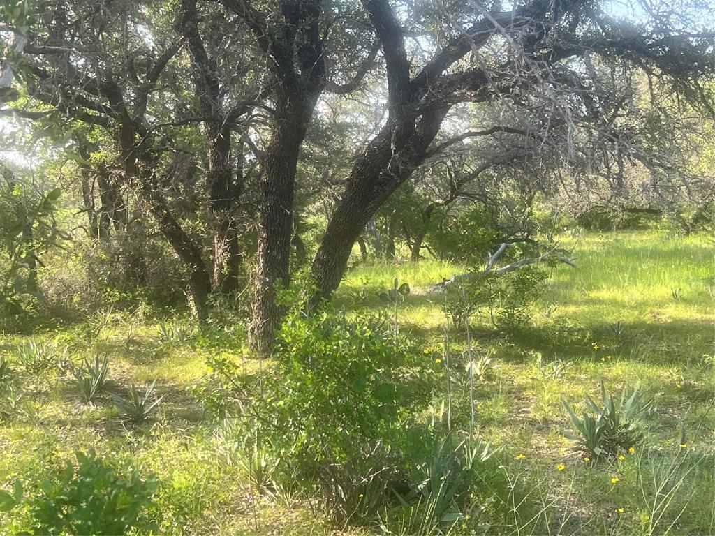 149 Comanche Hills Property Photo 35