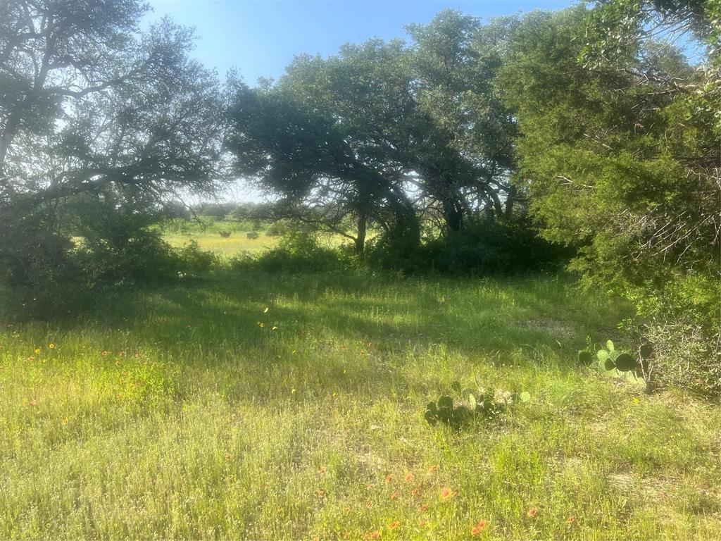 149 Comanche Hills Property Photo 36
