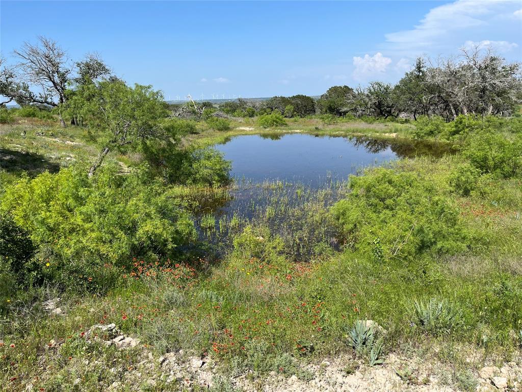 24 County Road 510 Property Photo 4