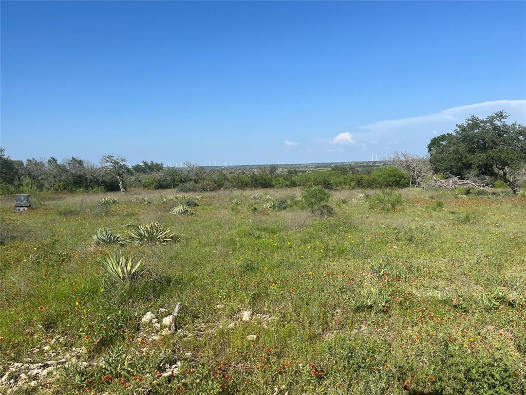 24 County Road 510 Property Photo 7