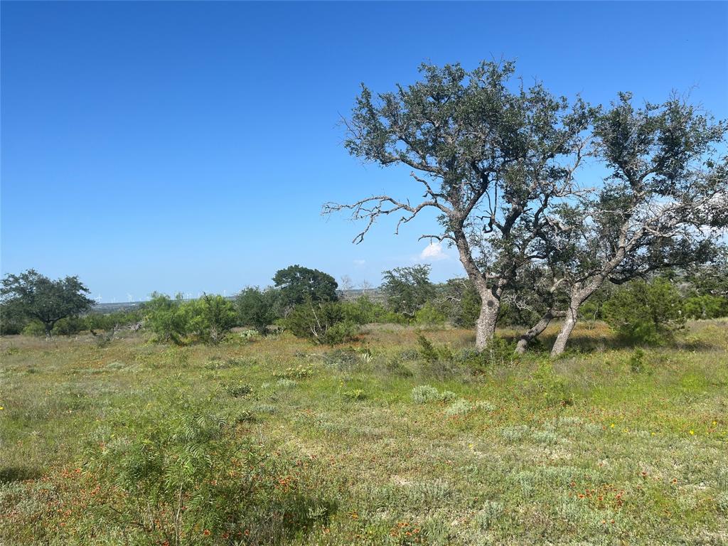 24 County Road 510 Property Photo 8