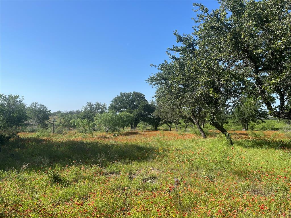 24 County Road 510 Property Photo 11