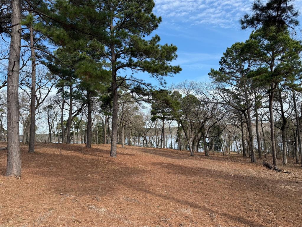3268 Shadow Pine Drive Property Photo 5