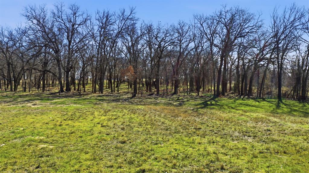 740 Fm 1189 Property Photo 10
