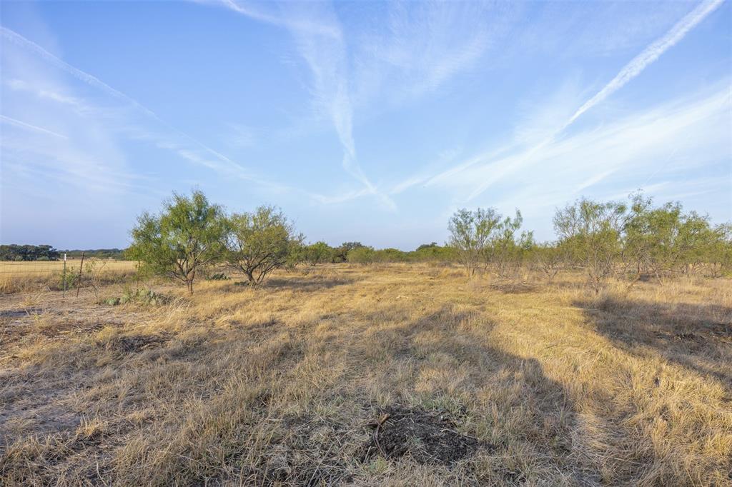 Tract 2 Tbd Cr 424 Property Photo 11