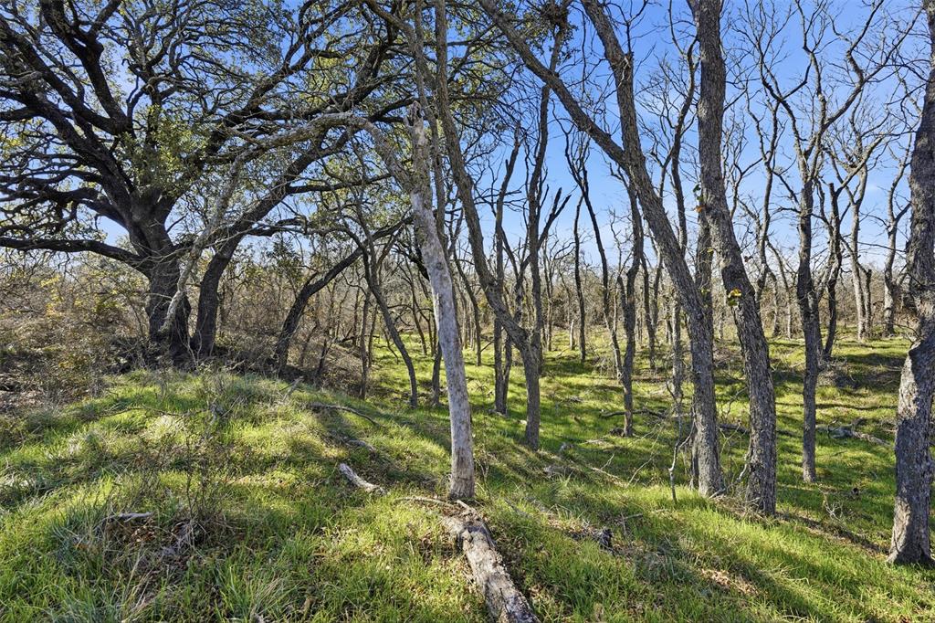 14725 Highway 183 Property Photo 21