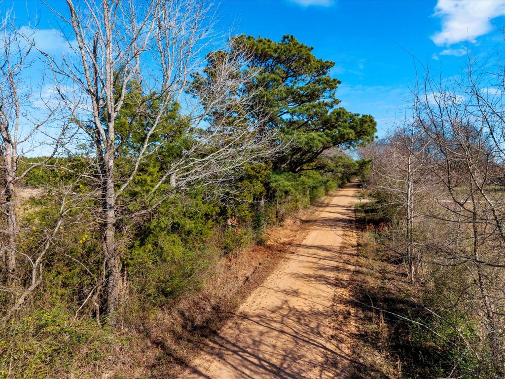 Tbd Cr-4316 Property Photo 4