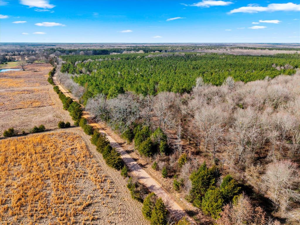 Tbd Cr-4316 Property Photo 5