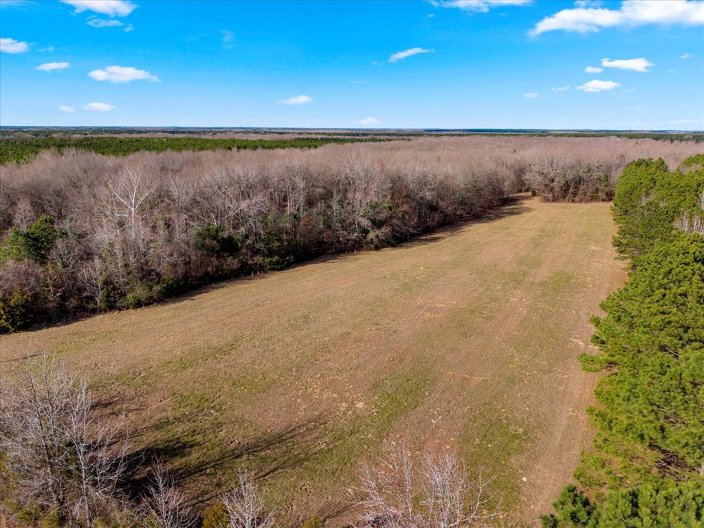 Tbd Cr-4316 Property Photo 7
