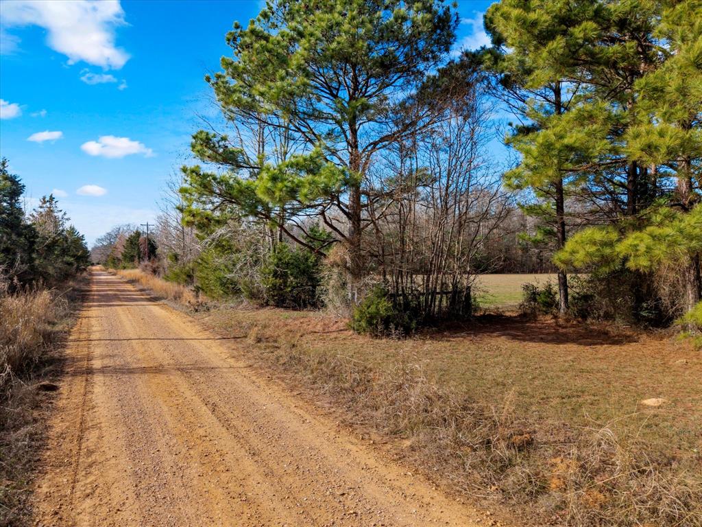 Tbd Cr-4316 Property Photo 8