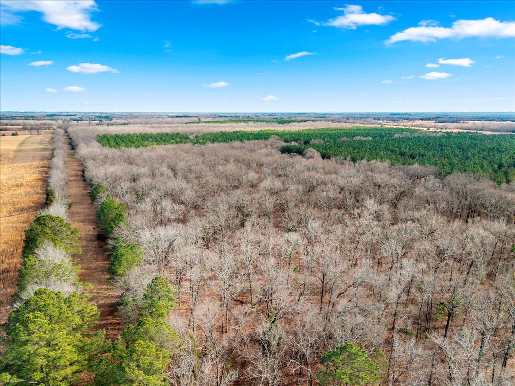 Tbd Cr-4316 Property Photo 9